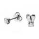 RHODIUM-PLATED SILVER EARRINGS IN WHITE GOLD WITH WHITE PEARLS