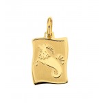 CIONDOLO MEDAGLIETTA CAPRICORNO SEGNO ZODIACALE IN ORO GIALLO 18 KT + COLLANA IN OMAGGIO